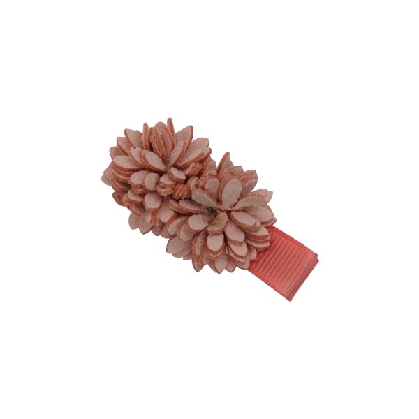 2 wunderschönen ranunkelstrauch Blumen beschmückt auf eine Haarspange.In Korallenrosa.